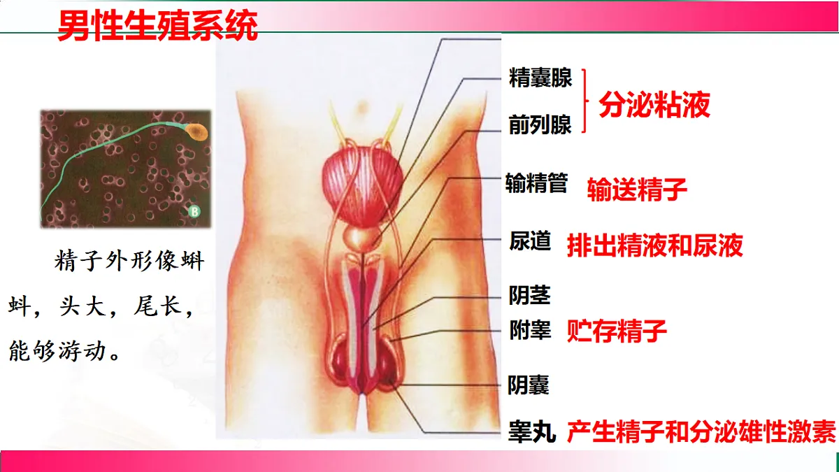 17801432第8页
