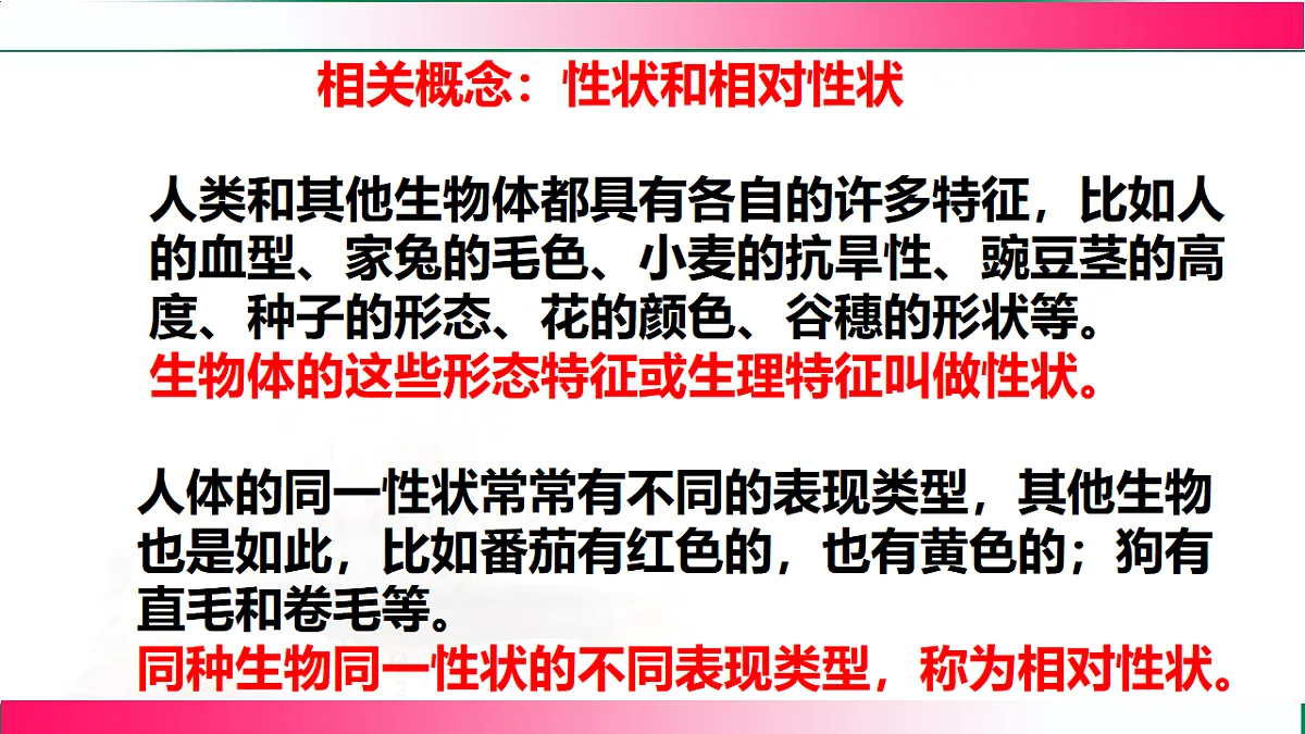 17801433第7页