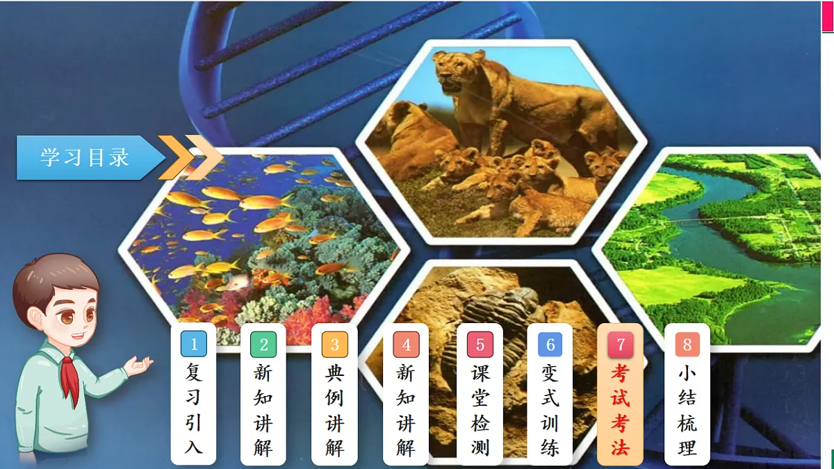 17801434第2页