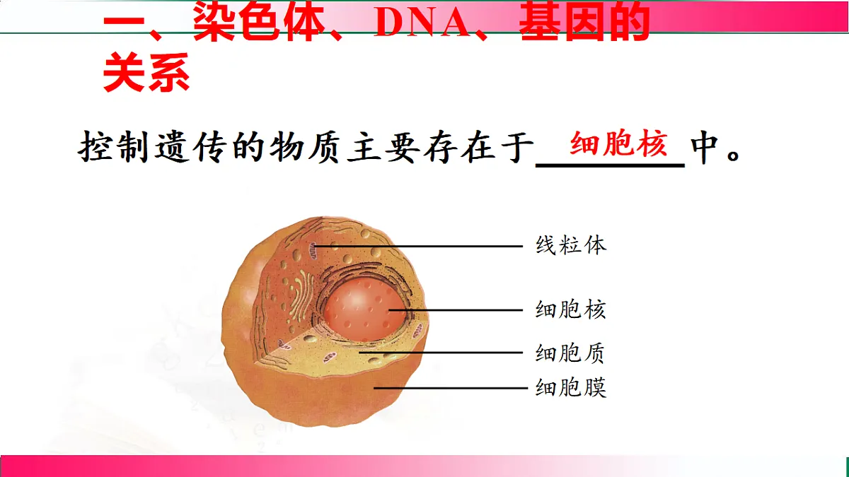 17801434第6页
