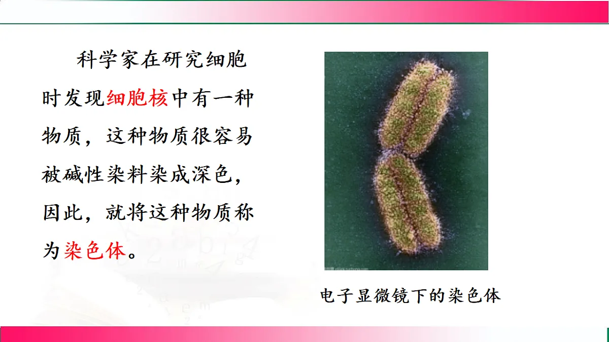17801434第7页