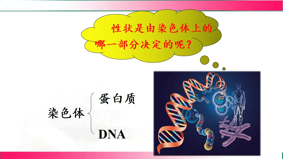 17801434第8页