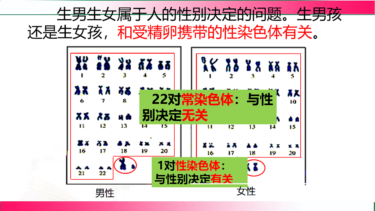 17801435第5页