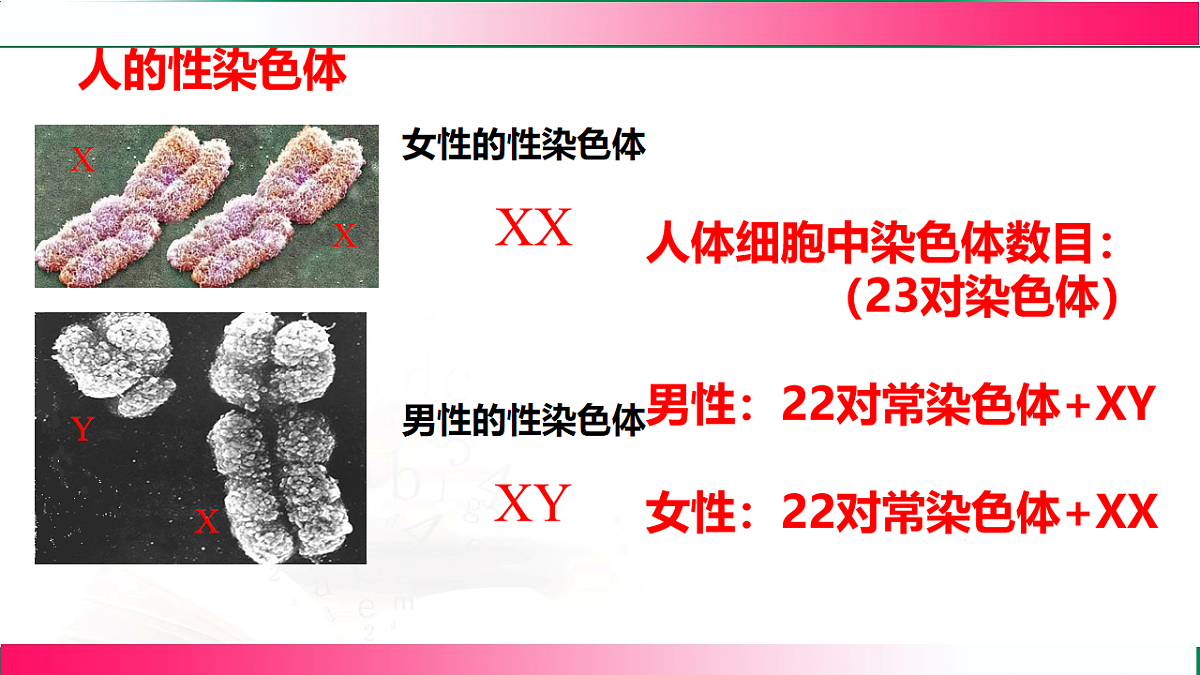 17801435第6页