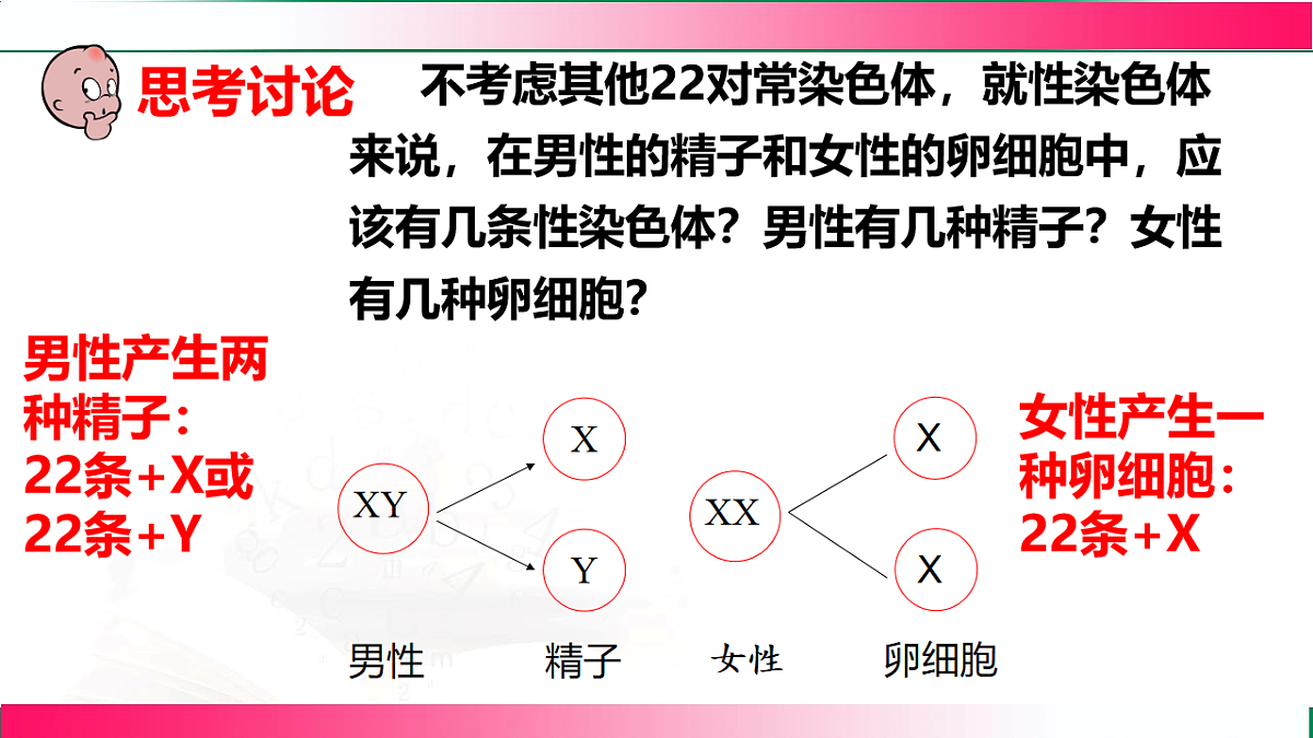 17801435第7页