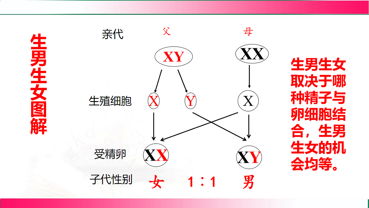 17801435第8页