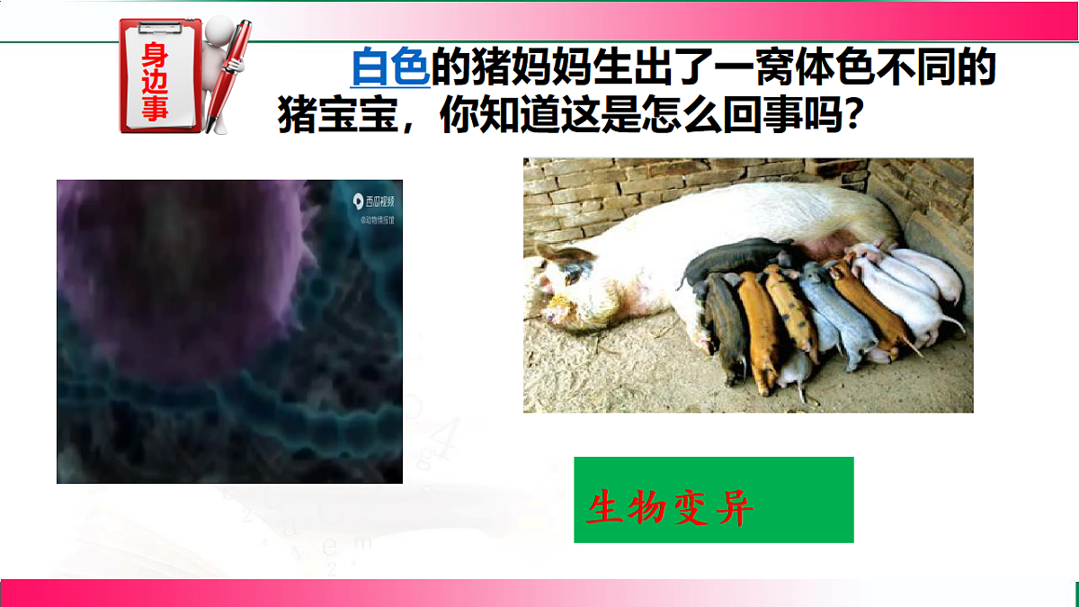 17801436第3页