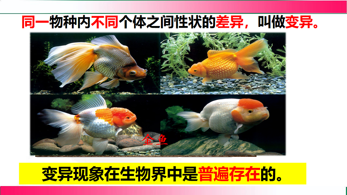 17801436第6页
