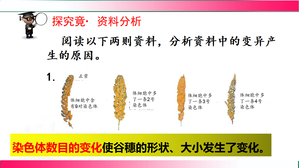 17801436第7页