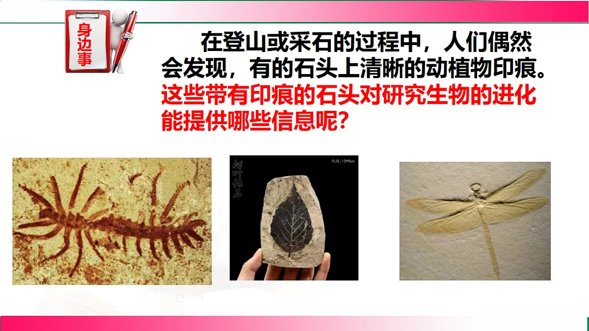 17801438第3页