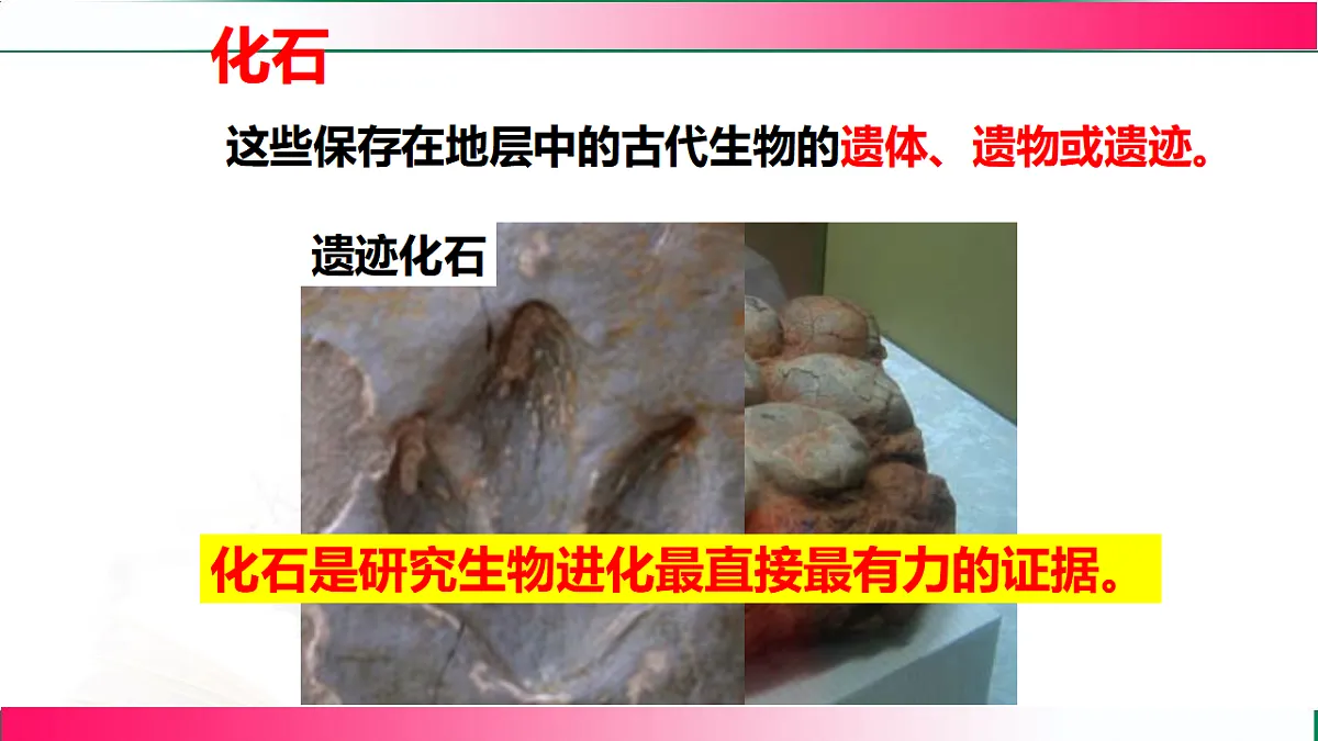 17801438第5页