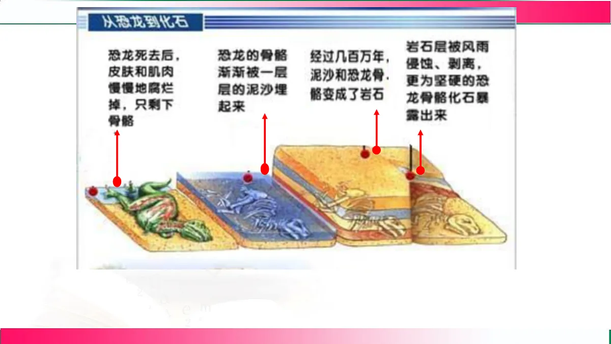 17801438第6页