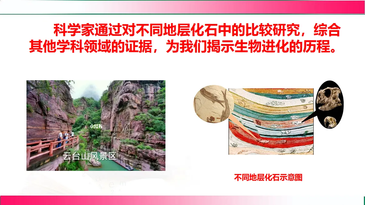 17801438第7页