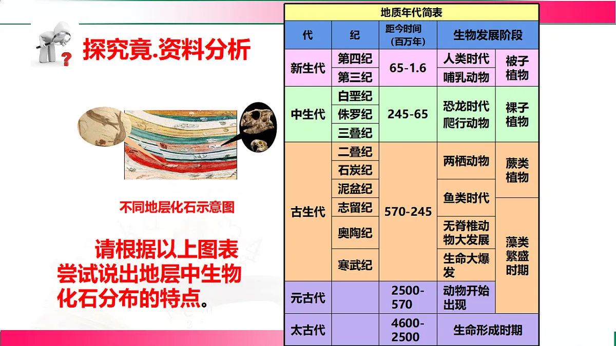 17801438第8页