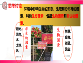 7.1.1.1 环境对生物的影响（一、非生物因素对环境的影响）2025-2026学年2024冀少版八年级生物下册教学同步课件