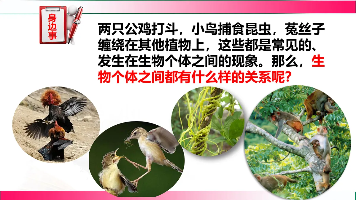 17801441第3页