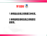 7.1.1.2 环境对生物的影响（二、生物因素对生物的影响）2025-2026学年2024冀少版八年级生物下册教学同步课件