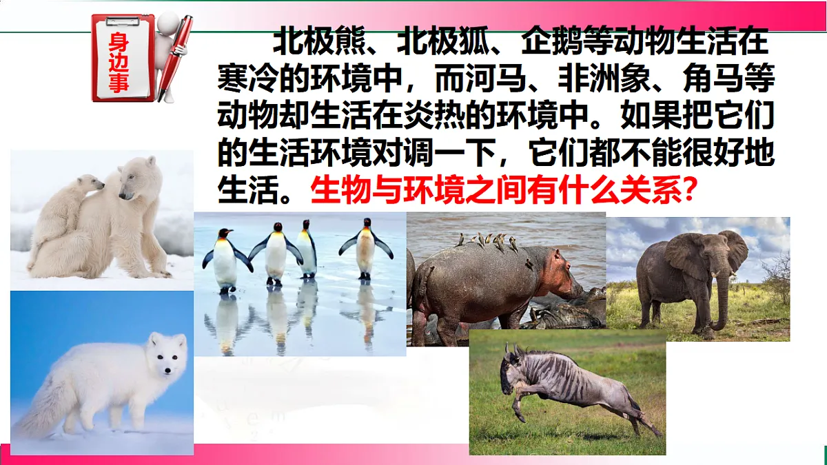 17801442第3页