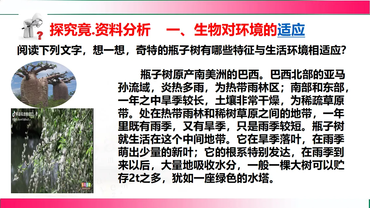 17801442第5页