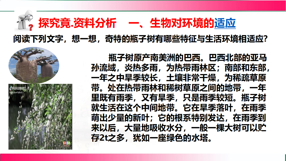 17801442第5页