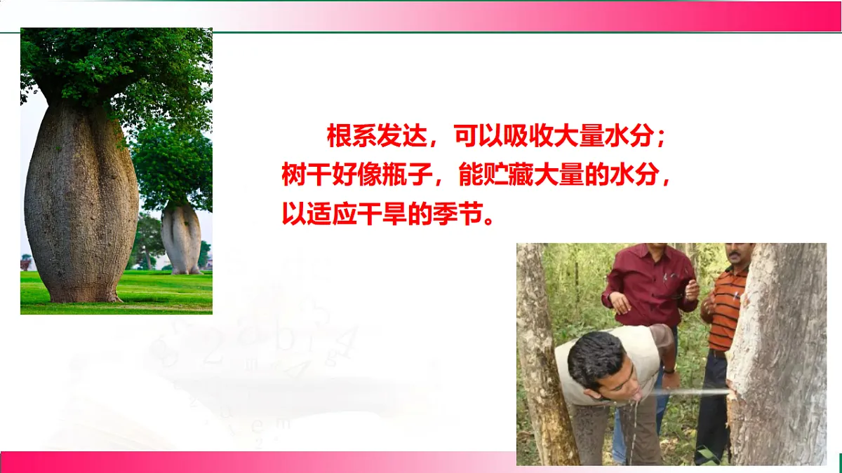 17801442第6页