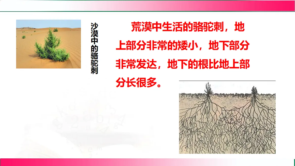 17801442第8页