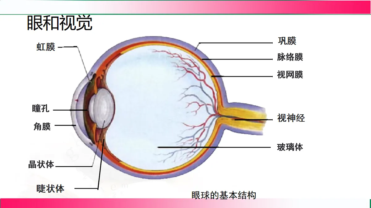 17801444第4页