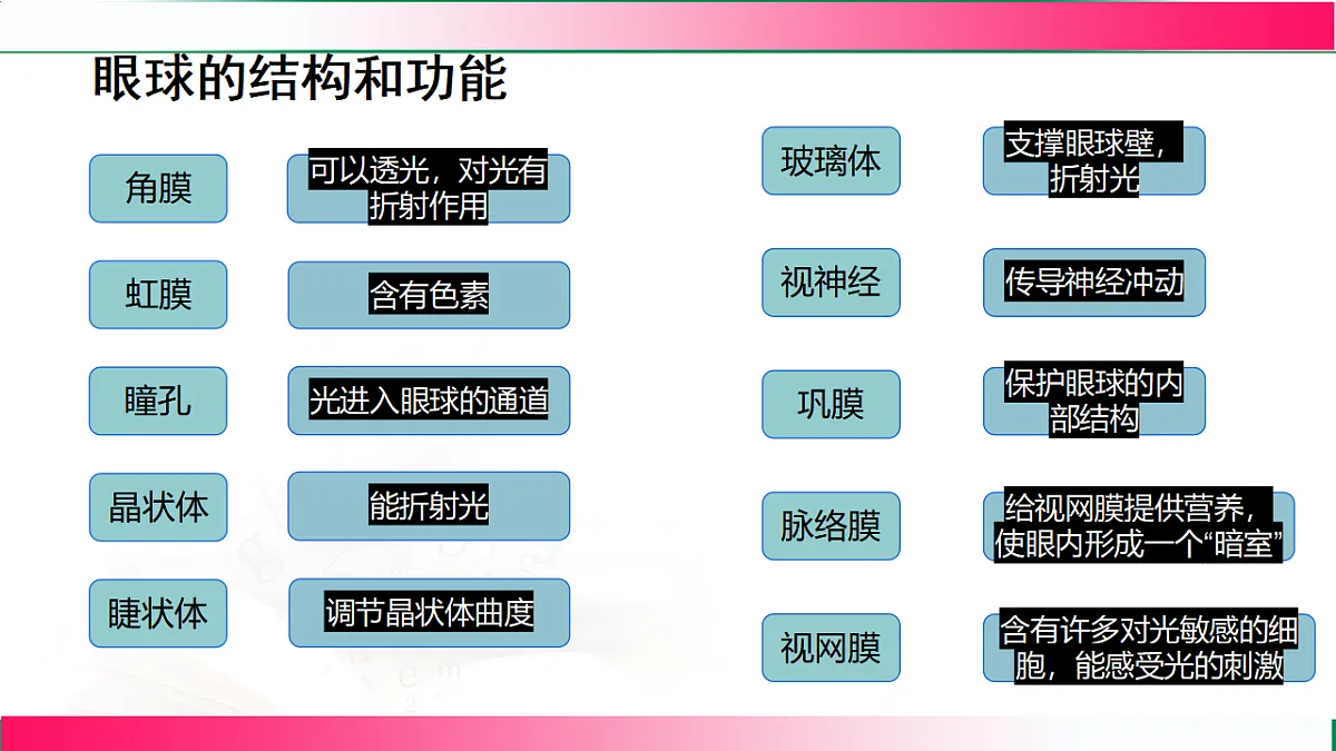 17801444第5页