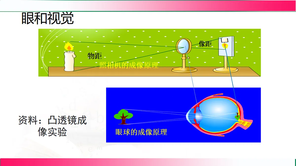 17801444第6页
