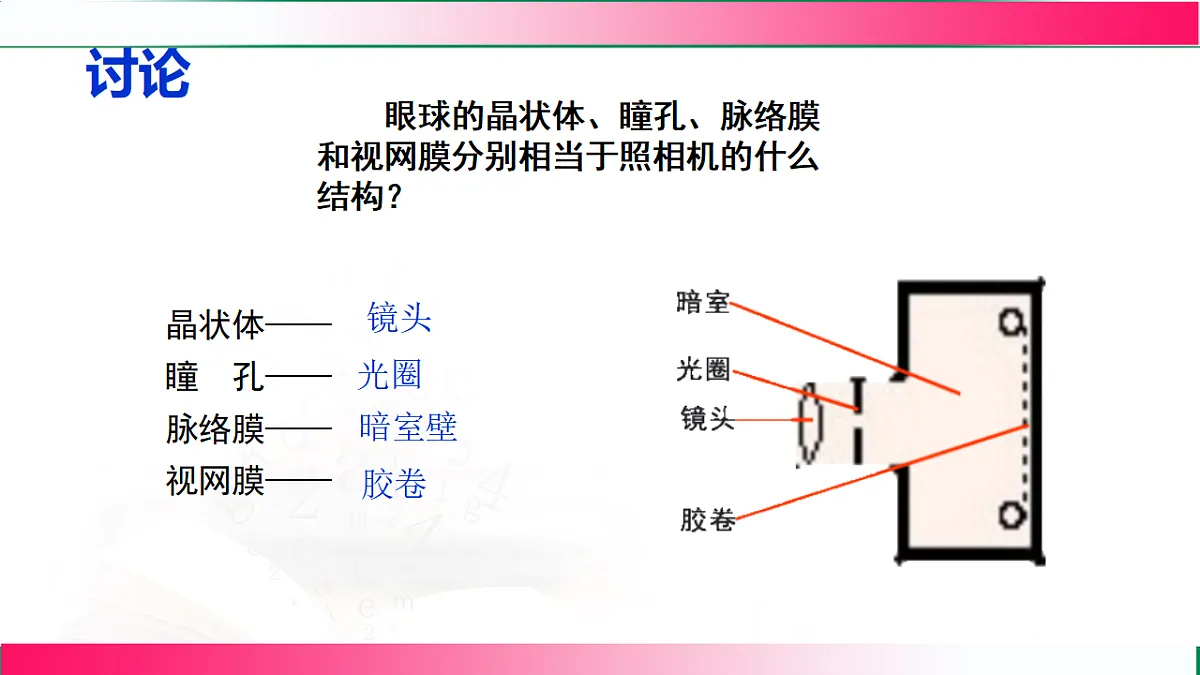 17801444第7页