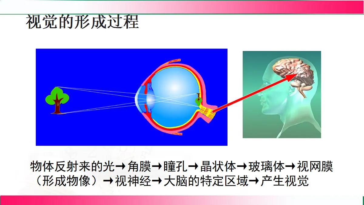 17801444第8页