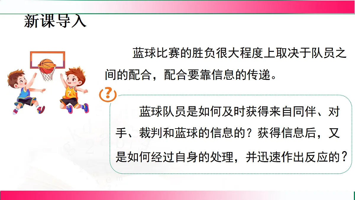 17801446第3页