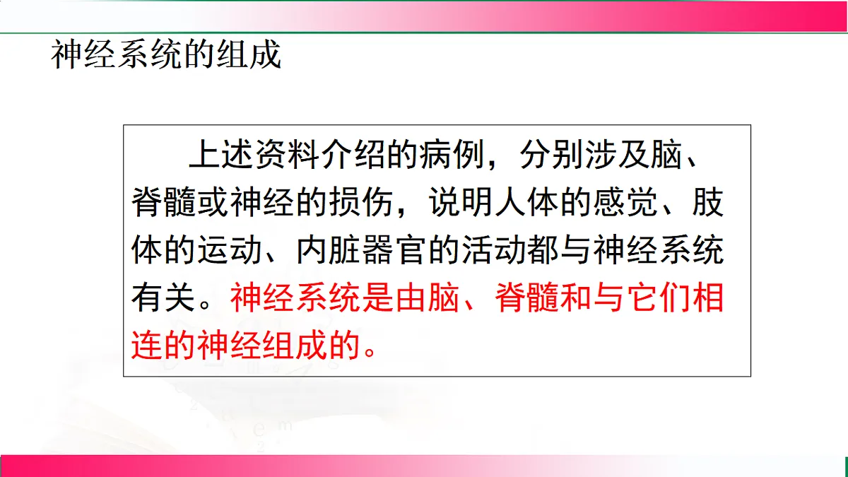 17801446第8页
