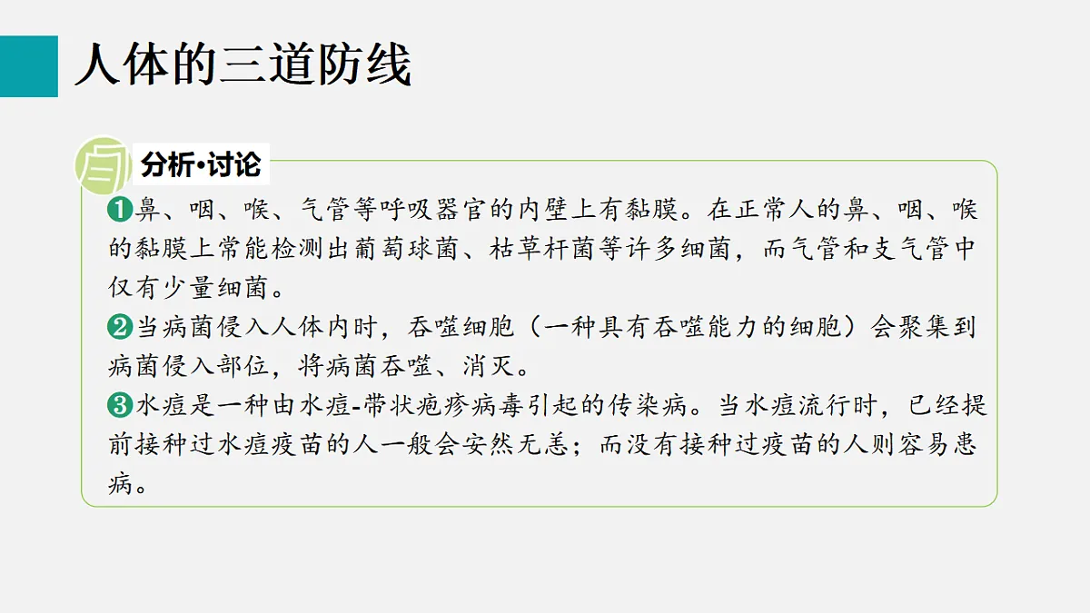 17801447第5页