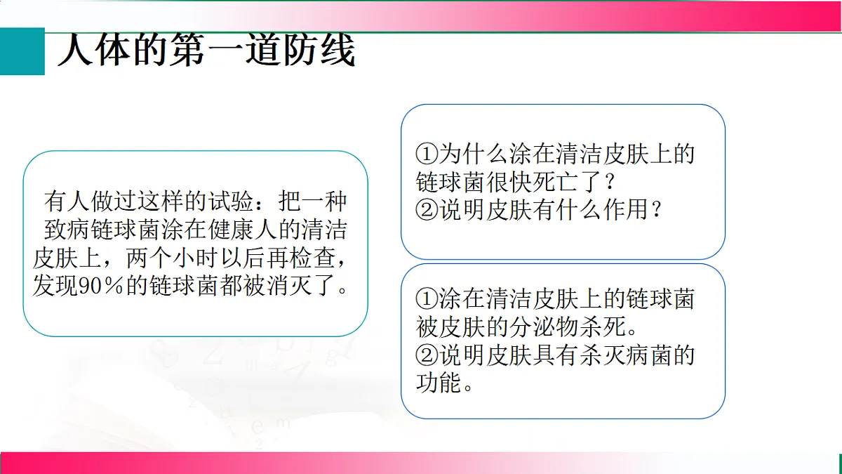 17801447第7页