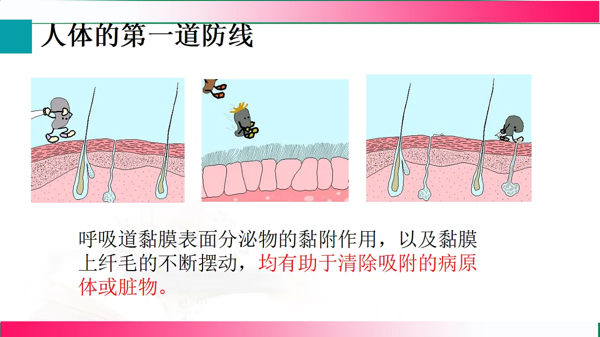 17801447第8页