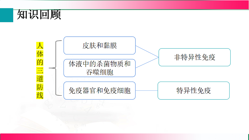17801448第3页