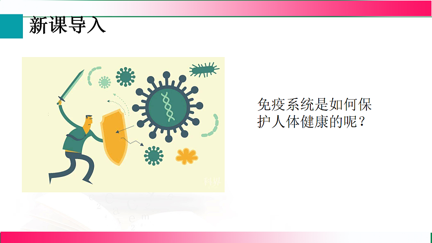 17801448第4页