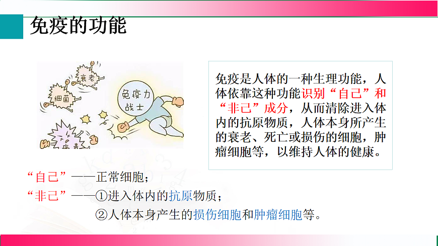 17801448第5页