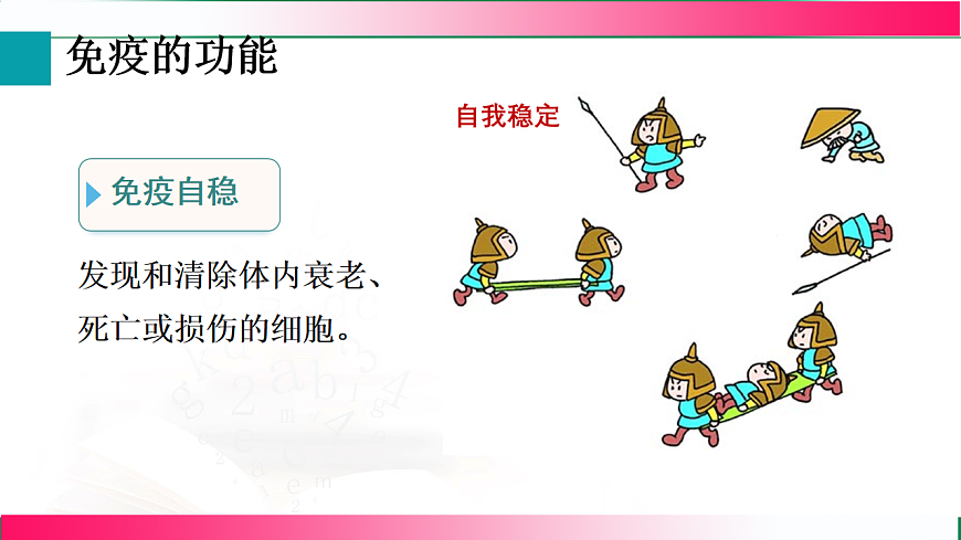 17801448第7页