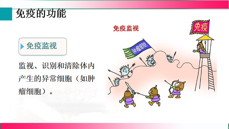 17801448第8页