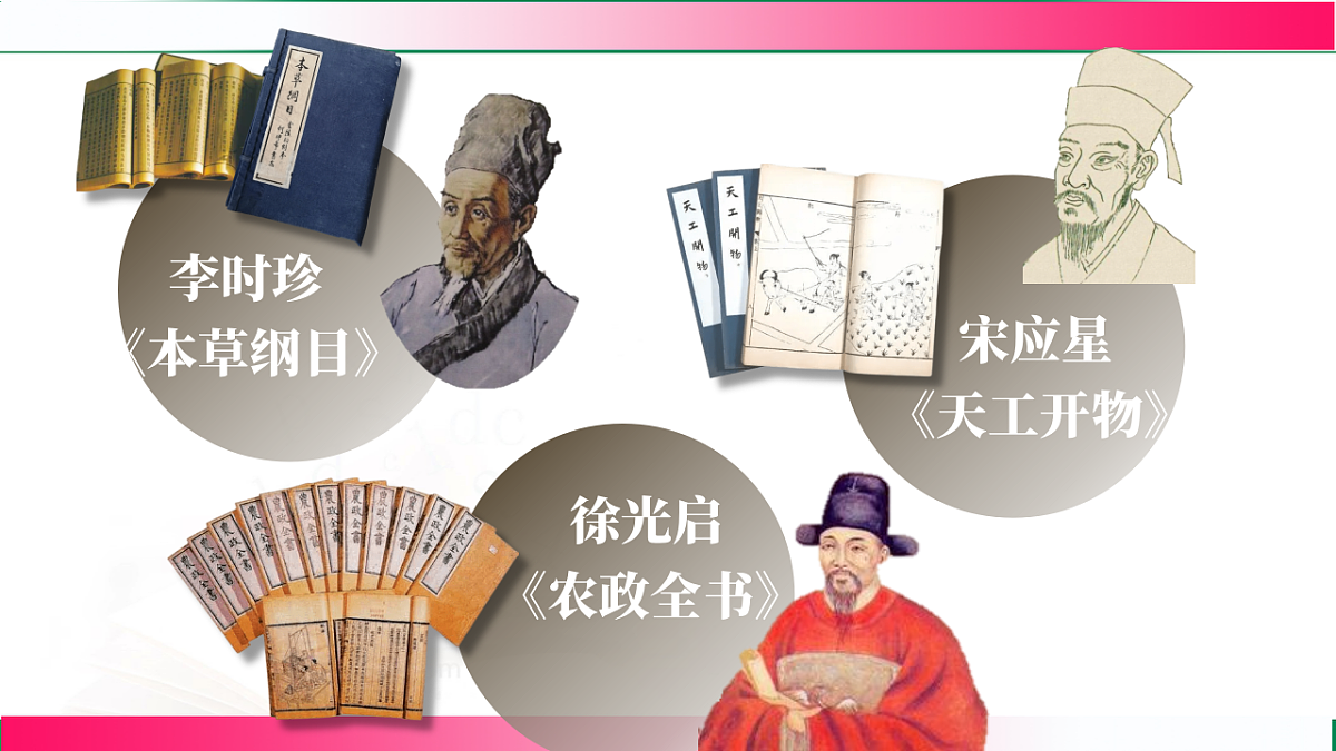 17801474第7页
