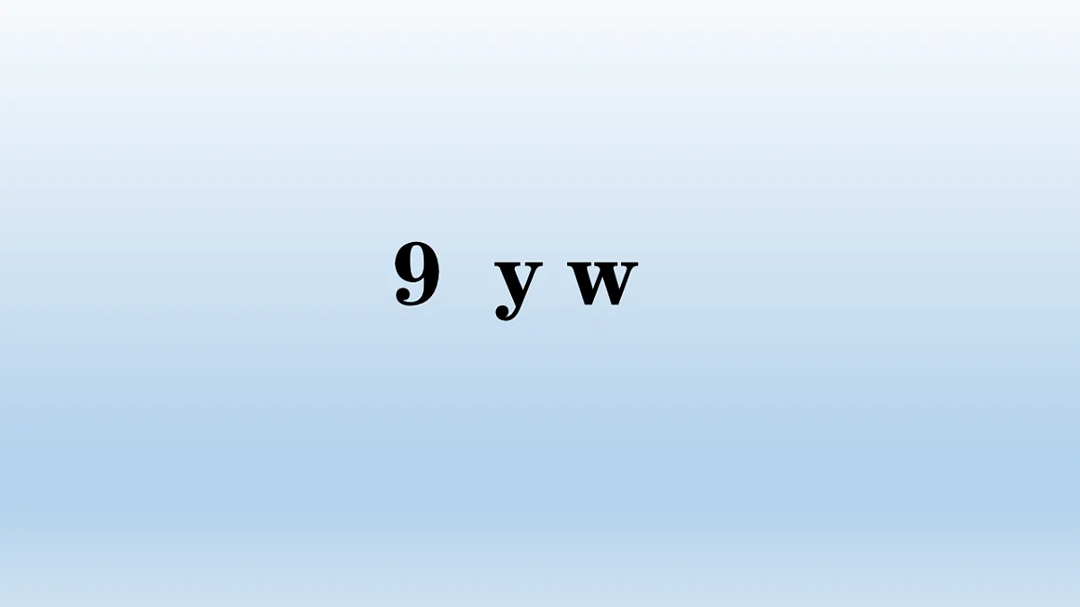 17803698第1页