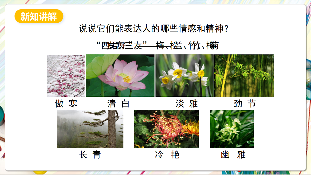 17803899第3页