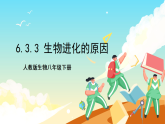 人教版（2024）生物八下 6.3.3《生物进化的原因》课件+教案+导学案