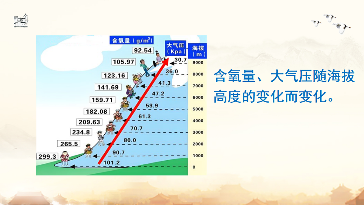 17804516第7页