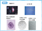 沪科版物理八年级全册第十二章第一节 《走进微观》 教学课件