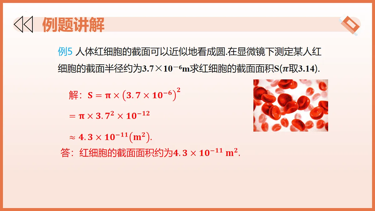 17804691第8页