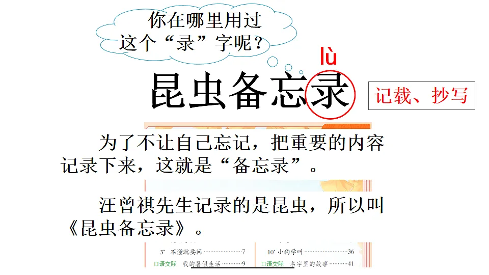 4 昆虫备忘录【优质版】第4页