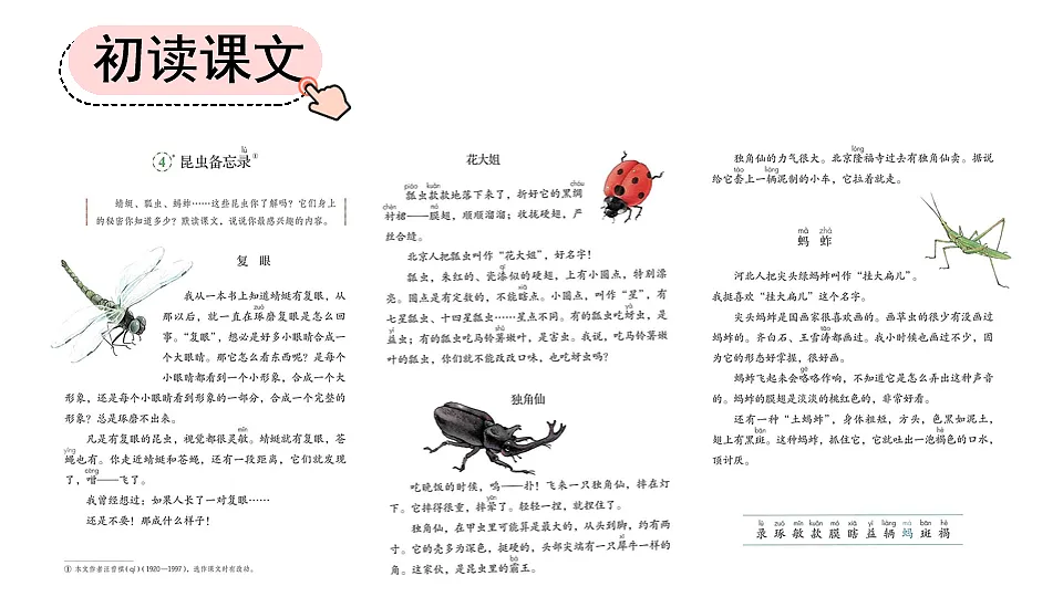 4 昆虫备忘录【优质版】第5页